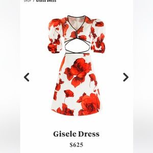 NWT🆕#149-AUTUMN ADEIGBO, Gisele Dress, cutouts and red floral blossoms, Size 12